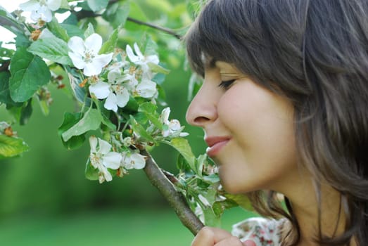 Spring