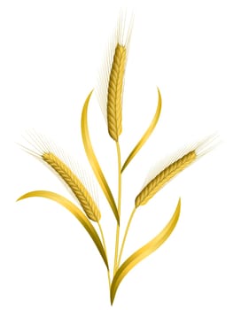 Three ears of wheat isolated on white
