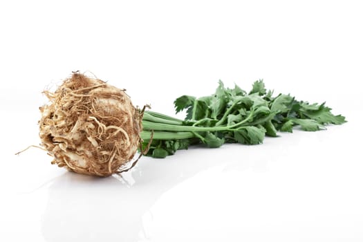 Celery