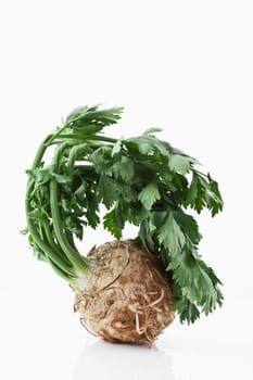 Celery