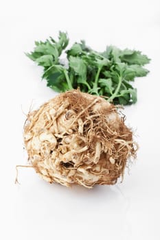 Celery