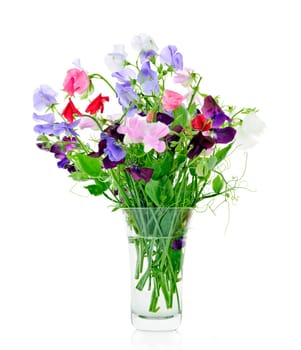 Bouquet of colorful sweet pea flowers in glass vase