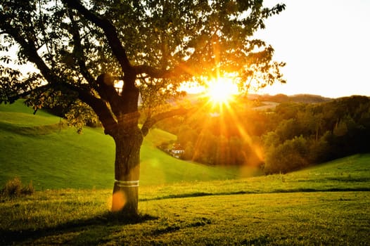 Sunset in the Country, taken in Upper Austria