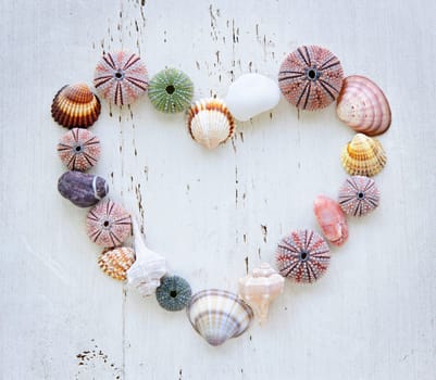 Heart made of Mediterranean sea shells, urchins and rocks on painted wood