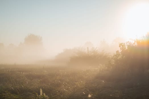 Landscape of morning fog in the field with bright sun on the background