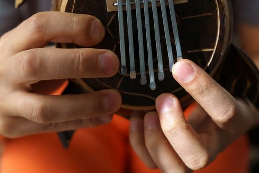 Kalimba turtle. Traditional instrument from Africa in close-up. Selective focus