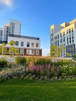 Plants in the yard of new houses. Landscaping of the territory. Vertical photo