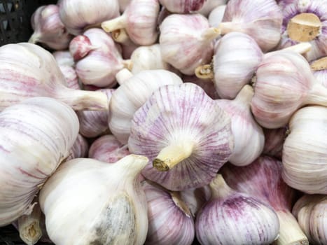 Garlic on showcase of grocery or market, raw vegetables in supermarket, close up