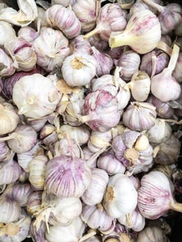 Garlic on showcase of grocery or market, raw vegetables in supermarket. Vertical photo