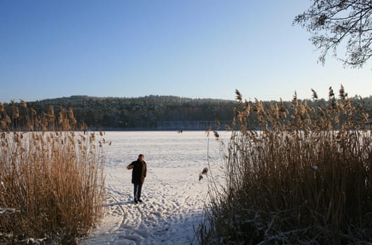 Winter at the lake