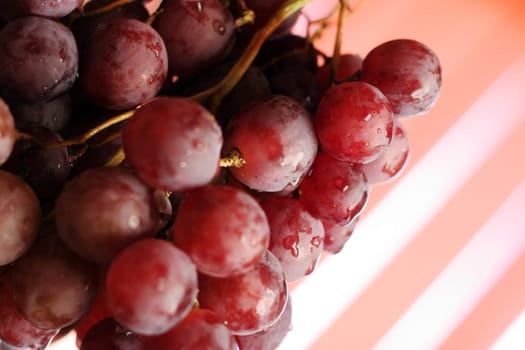 Bunches of grapes