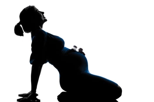 beautiful caucasian pregnant woman in full length silhouette on studio isolated white background