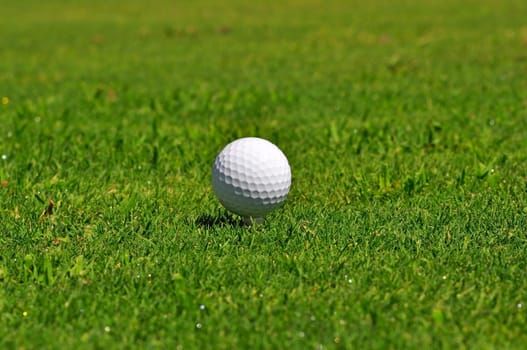 Golf ball on a real golf course green