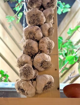 Garlic used in traditional food such as garlic bread
