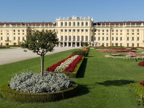 Schönbrunn Palace,landmark of Vienna with flowers in the park