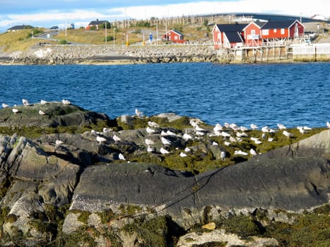Picturesque landscape at Norway islands