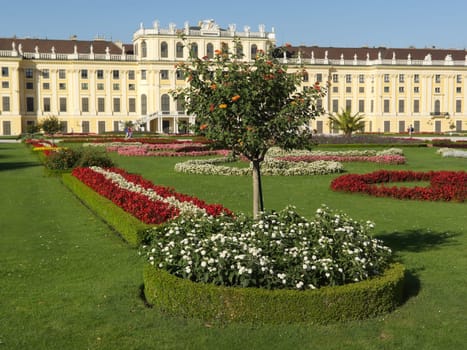 Schönbrunn Palace,landmark of Vienna with flowers in the park