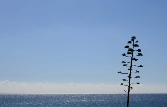 sea water without lake
