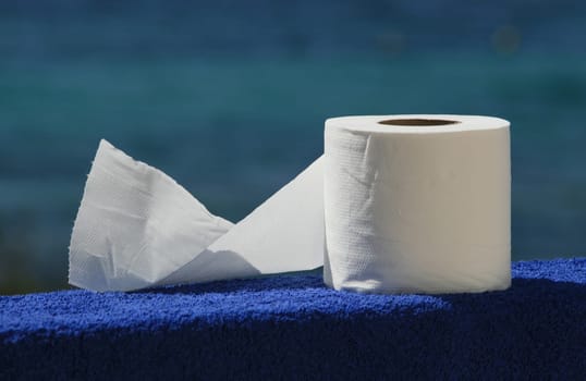 Toilet paper