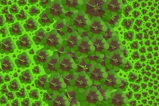 Clover Background
