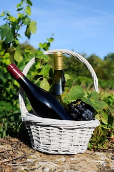 glass and bottle of wine and grappes in basket