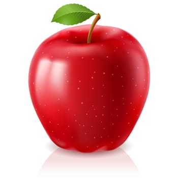 Ripe red apple. Illustration on white background