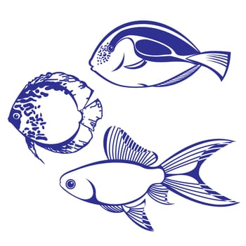 Tropical Fish. Set #4. Vector illustration on white background for design