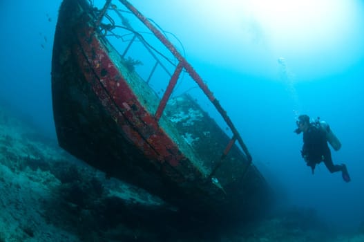 Boat wreck on the house reef of the Prince John Dive Resort in Sulawesi - Indonesia