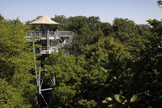 Treetop Walk in Hainich National Park