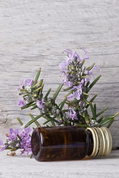 Rosemary branches and a bottle of rosemary essence on an old wooden shelf.