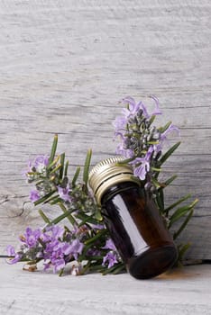 Rosemary branches and a bottle of rosemary essence on an old wooden shelf.