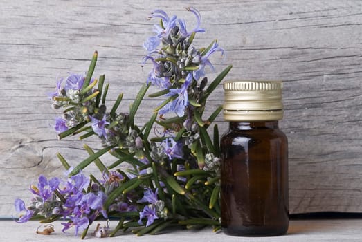 Rosemary branches and a bottle of rosemary essence on an old wooden shelf.