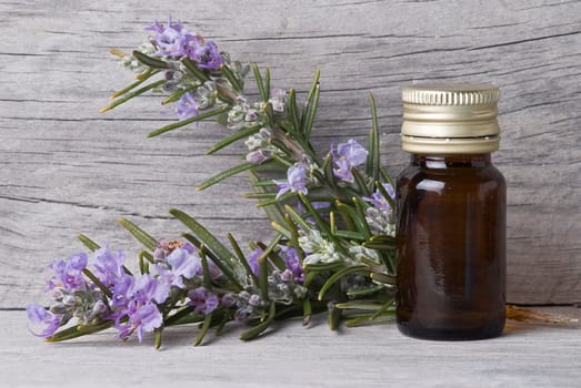 Rosemary branches and a bottle of rosemary essence on an old wooden shelf.
