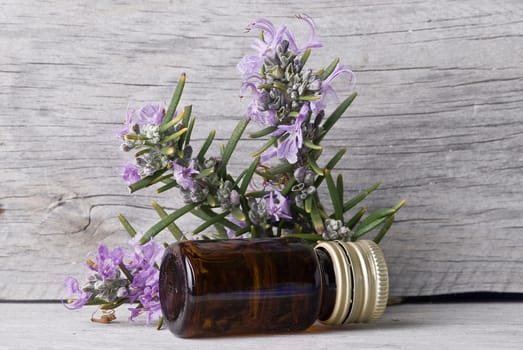 Rosemary branches and a bottle of rosemary essence on an old wooden shelf.