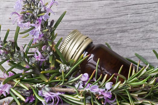 Rosemary branches and a bottle of rosemary essence on an old wooden shelf.