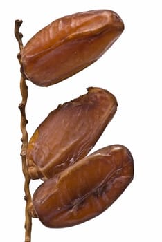 Date fruit isolated over a white background.