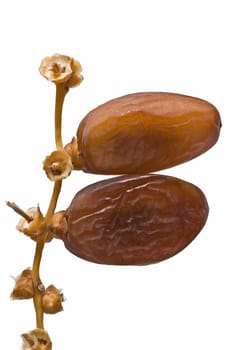 Date fruit isolated over a white background.