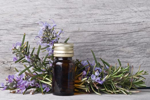 Rosemary branches and a bottle of rosemary essence on an old wooden shelf.
