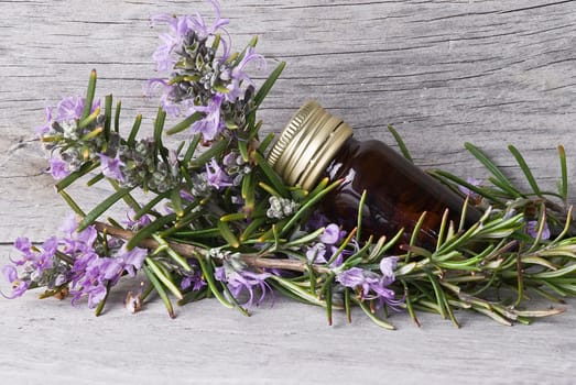 Rosemary branches and a bottle of rosemary essence on an old wooden shelf.