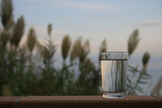 glass of water