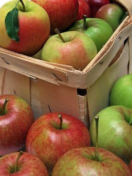 Apples without (New York)