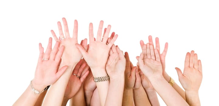 Human Hands Raised isolated on White Background