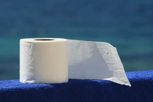 Toilet paper
