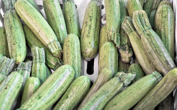 Detail of courgettes or zucchini vegetable food - useful as a background