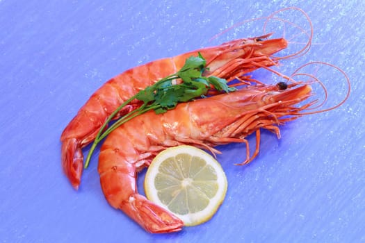 tiger shrimps