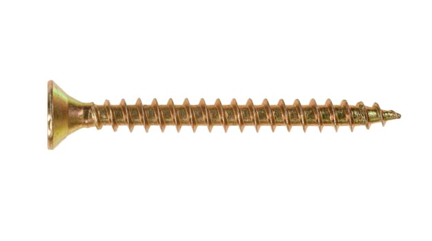 Detail of the flush wood screw
