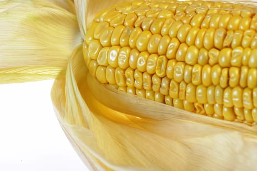 yellow corn on a white background