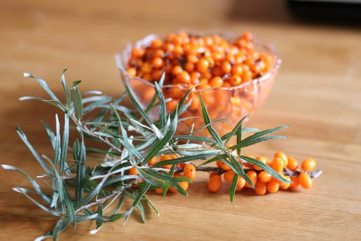 Sea buckthorn