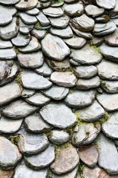 Green garden - grass and stone way