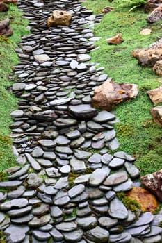 Green garden - grass and stone way